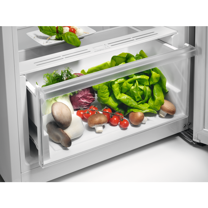 AEG - Frigo pose libre - RKB333E2DX